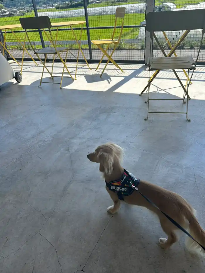 COFFEEMUSUME 犬連れ