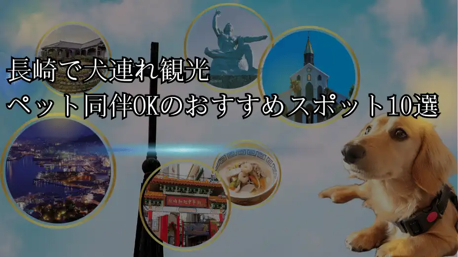 長崎 犬連れ観光