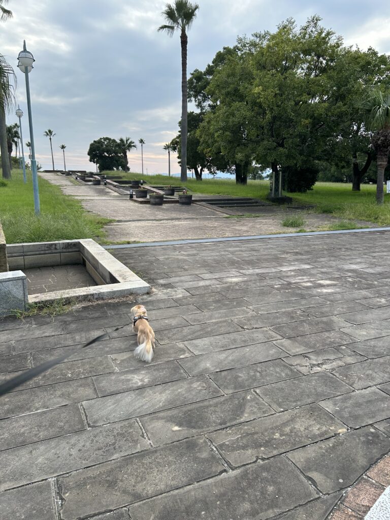 大村 森園公園 犬連れ