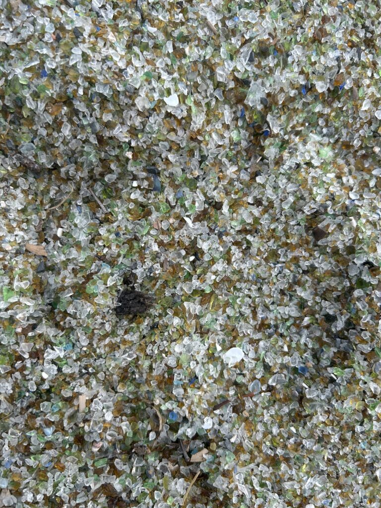 森園公園 犬連れ