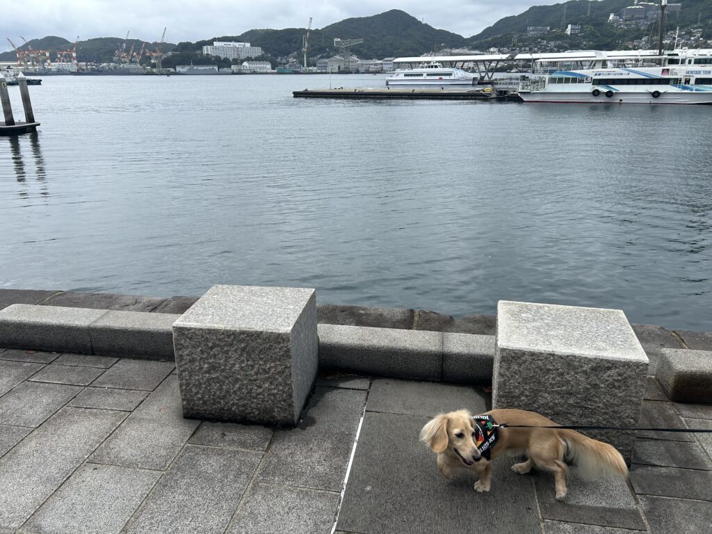 出島ワーフ 犬連れ