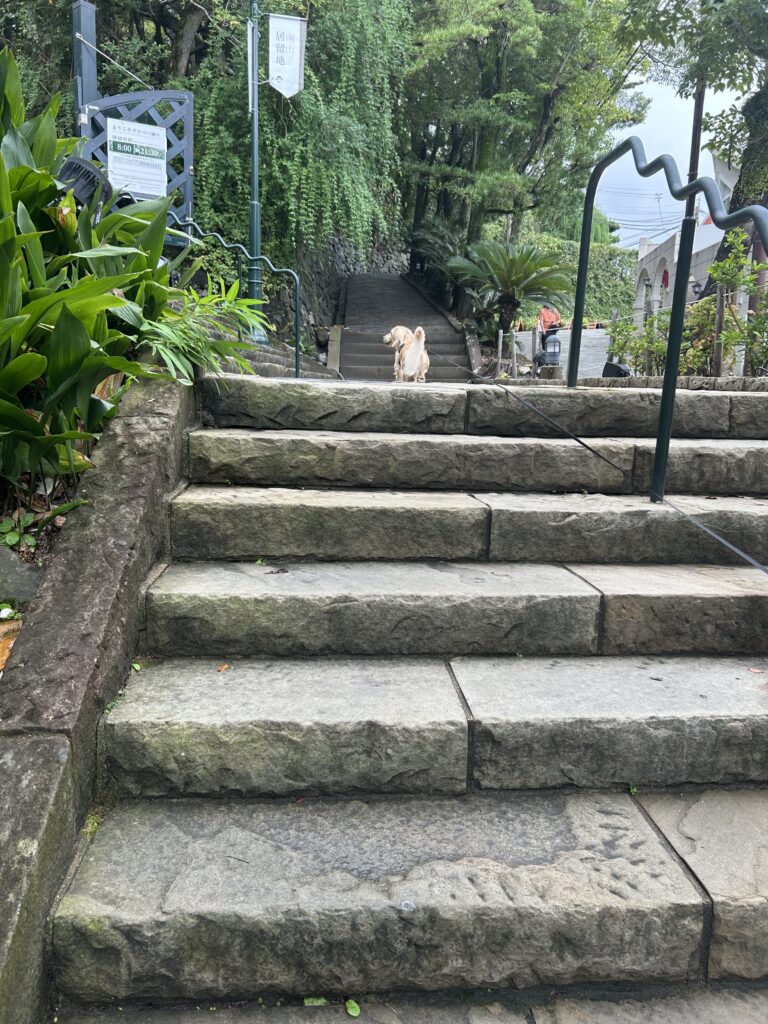 犬連れ 観光 グラバー園