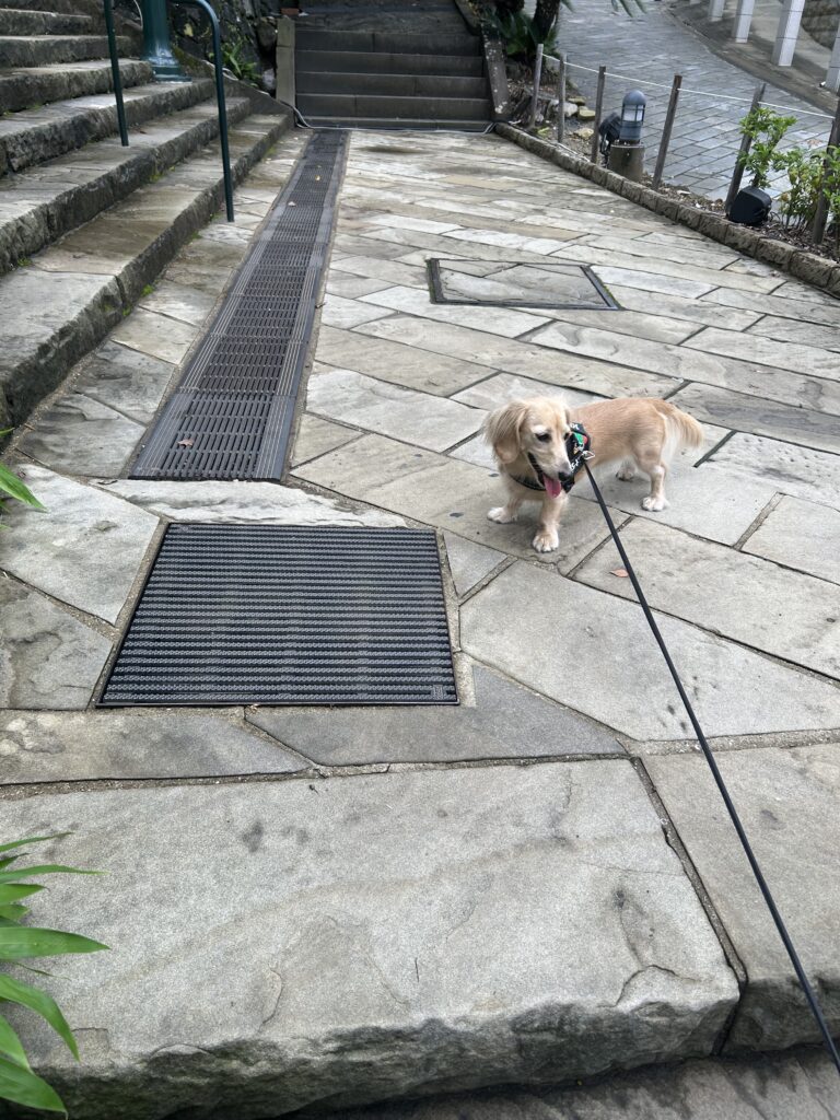 グラバー園 犬連れ 観光 長崎