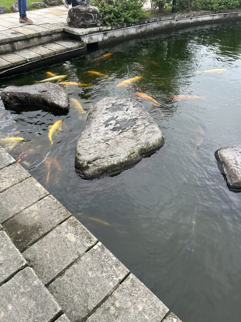 グラバー園 鯉 犬連れ 長崎 観光