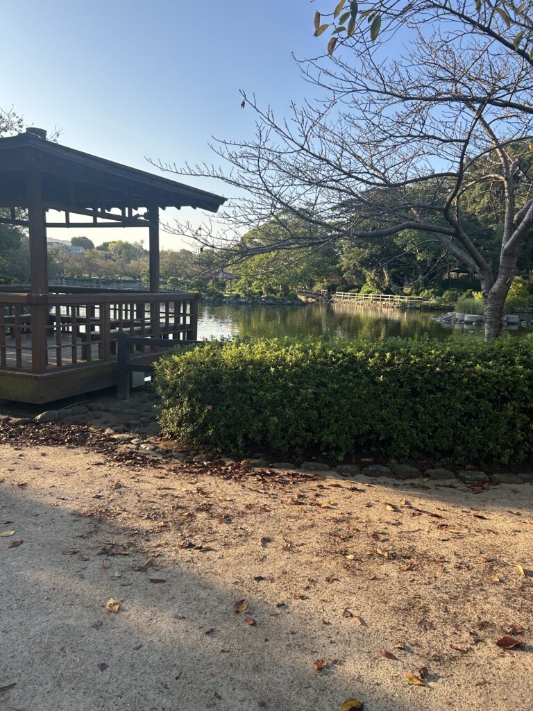 大村公園 犬連れ