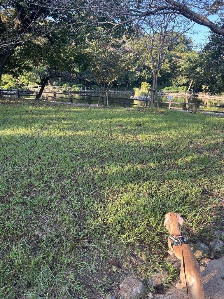 大村公園 犬連れ