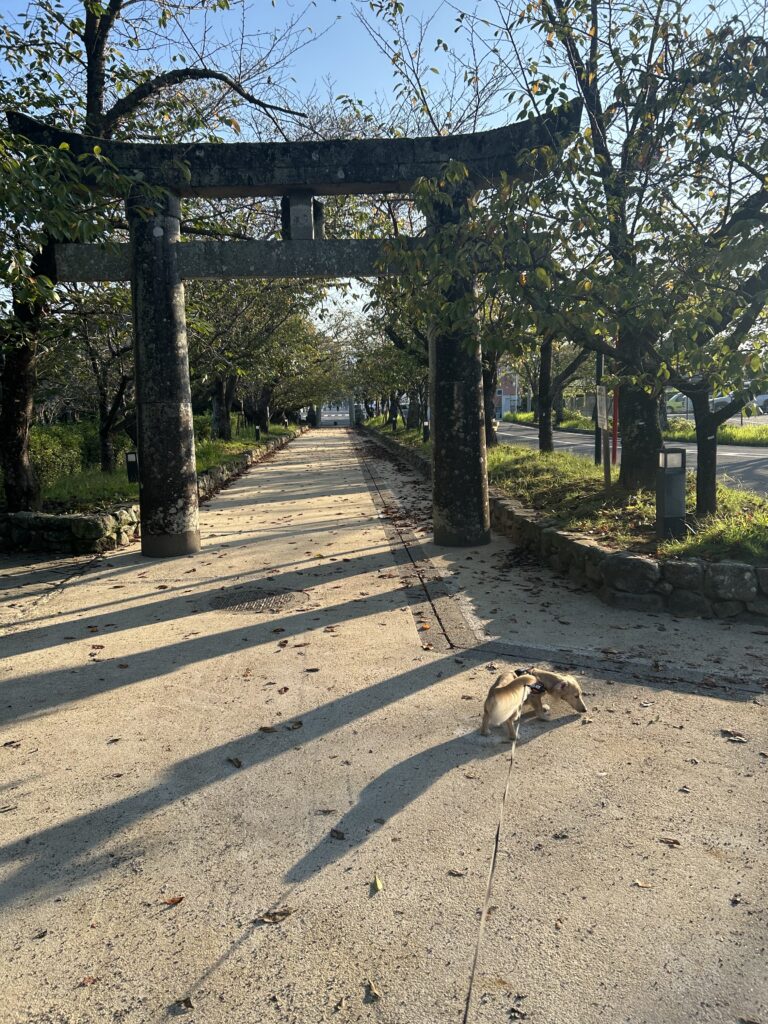 大村公園 犬連れ