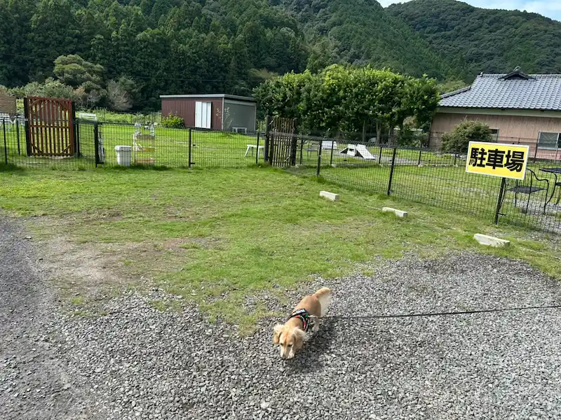 ojyou ドッグラン