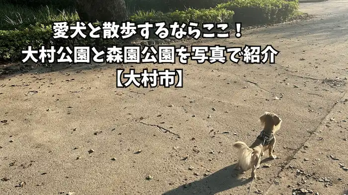 大村 犬連れ 公園