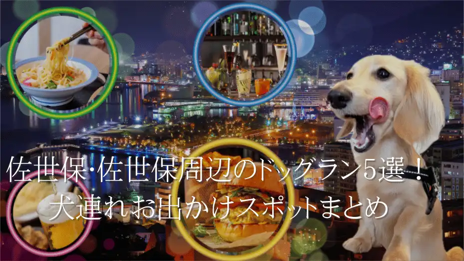 佐世保 ドッグラン おすすめ