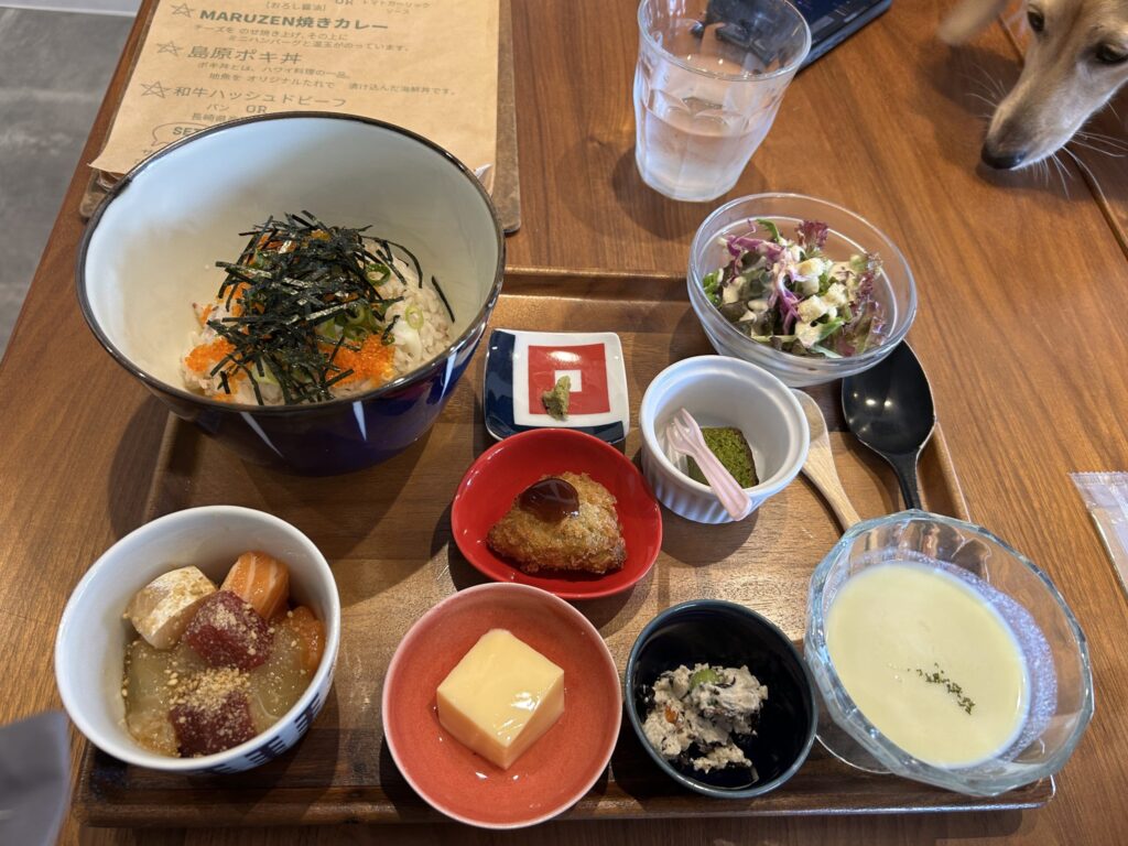 島原 観光 犬連れ