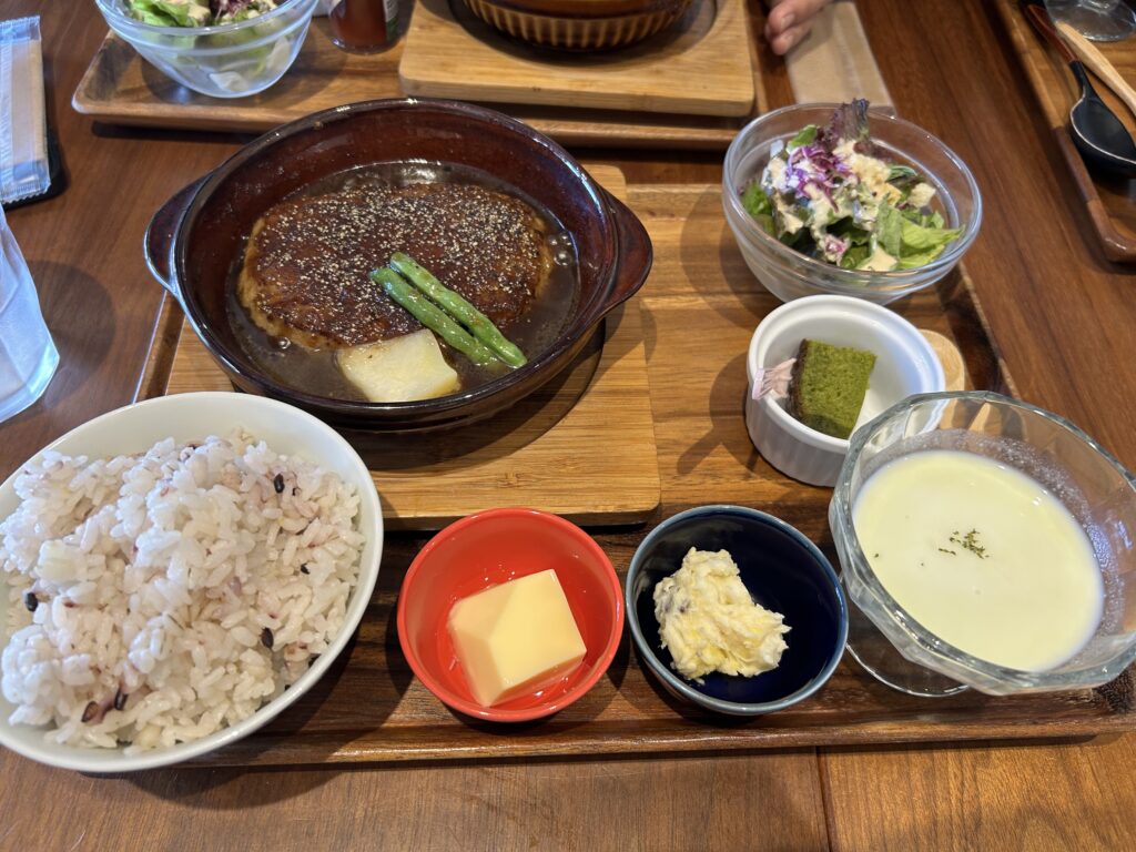 島原 犬連れ 観光