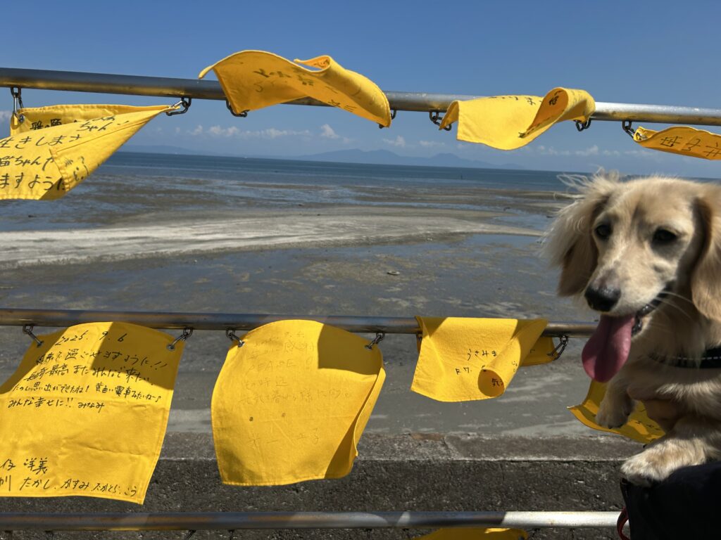 島原 観光 犬連れ