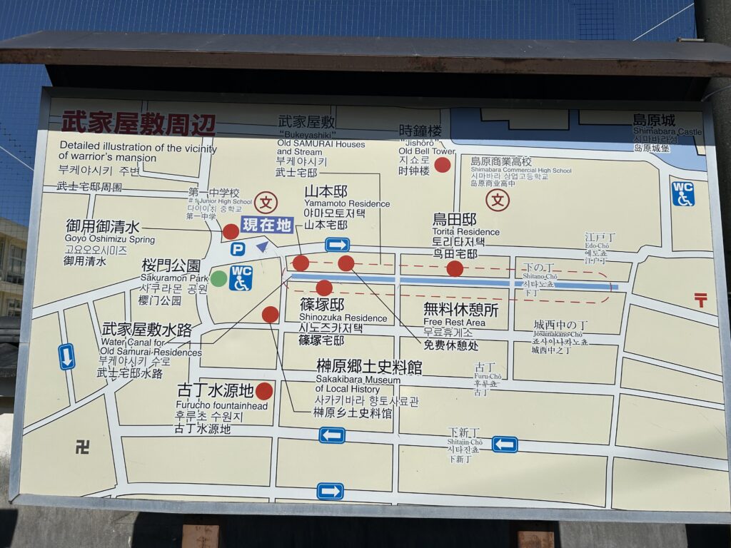 島原 犬連れ 観光