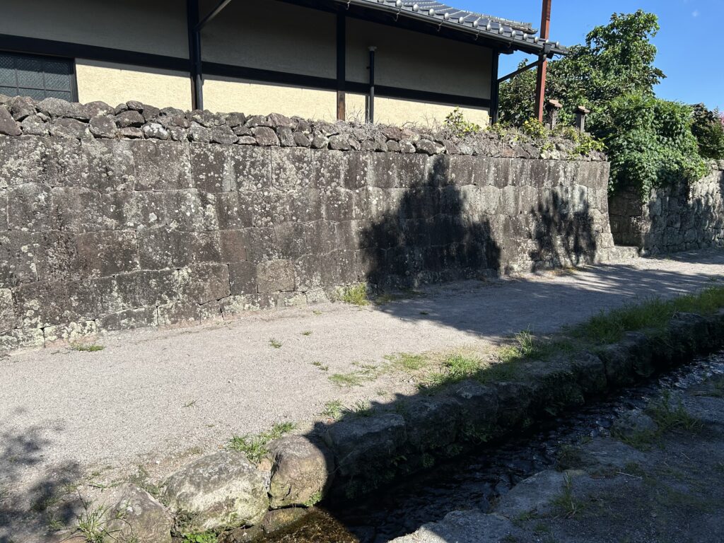 島原 犬連れ 観光