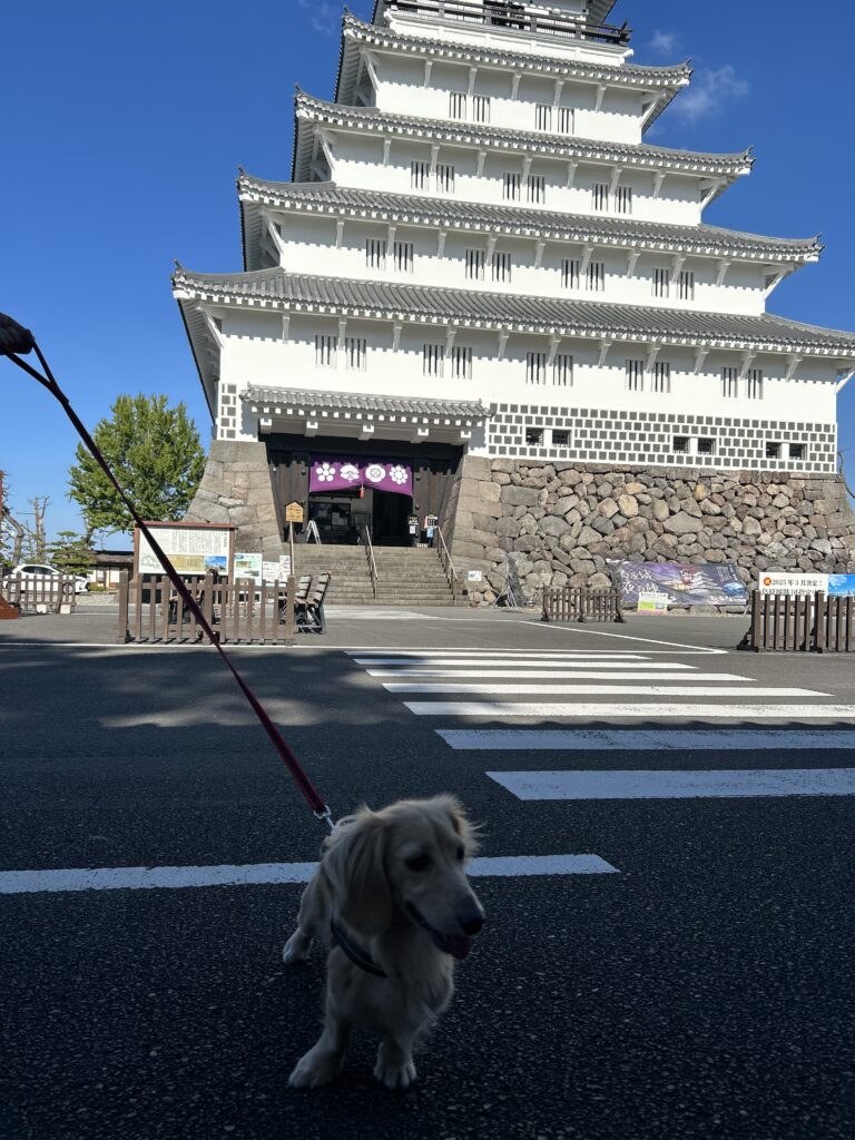 島原 犬連れ 観光
