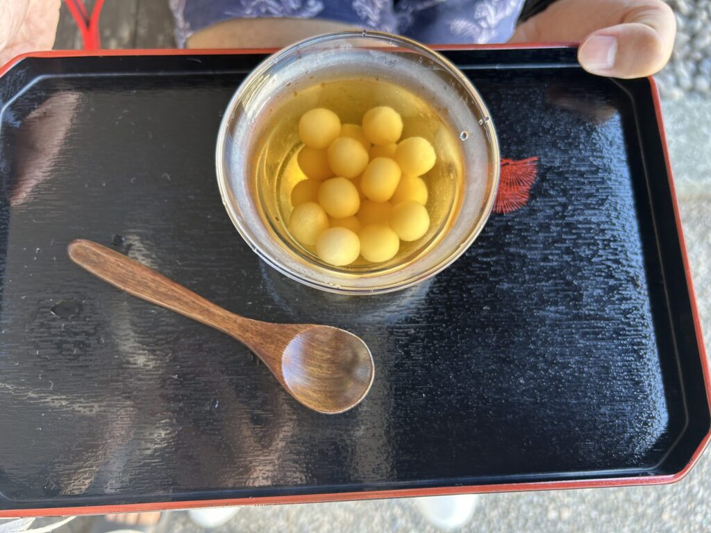 島原 観光 犬連れ