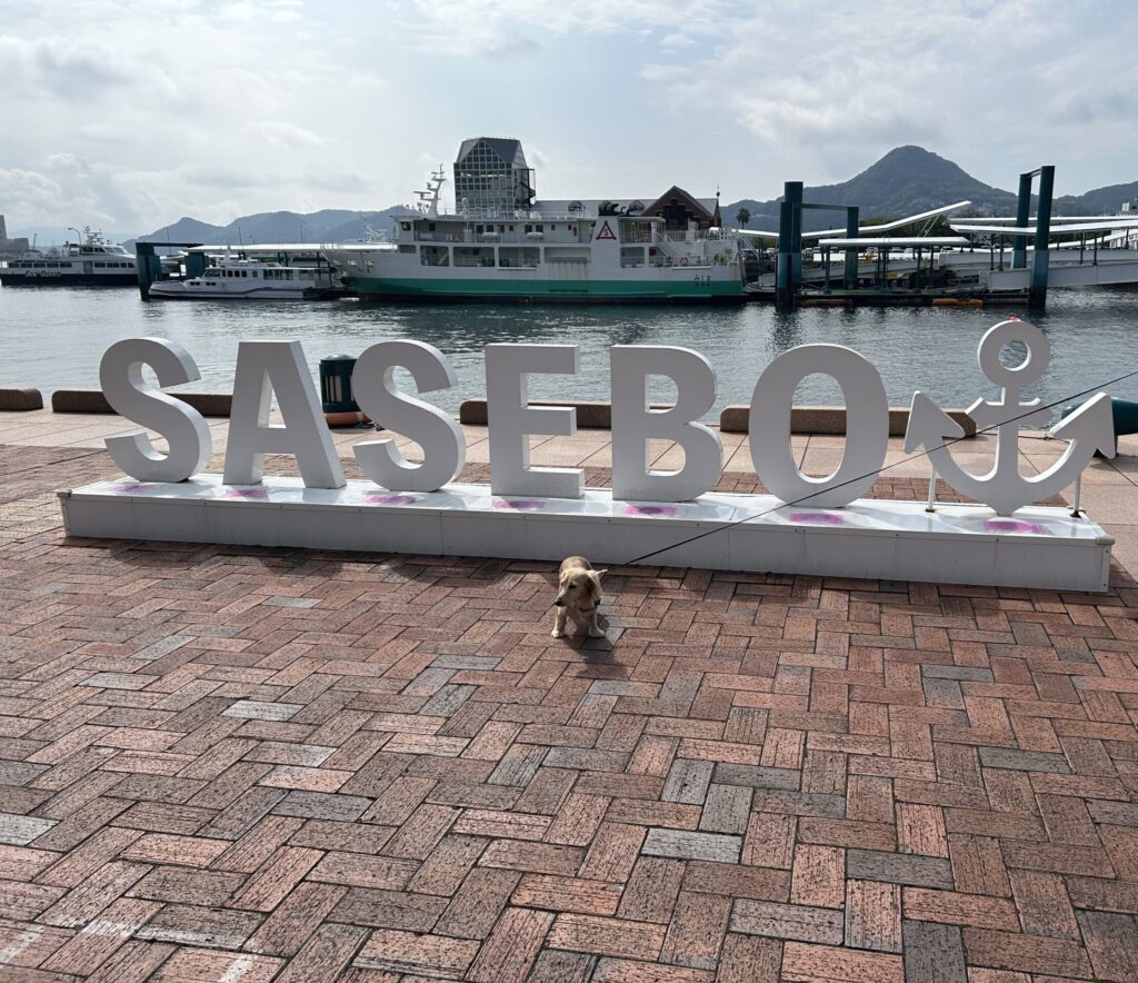 佐世保 五番街 犬
