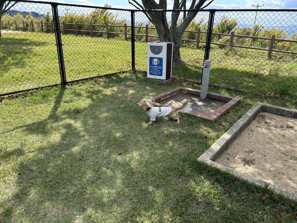 長崎 無料 ドッグラン