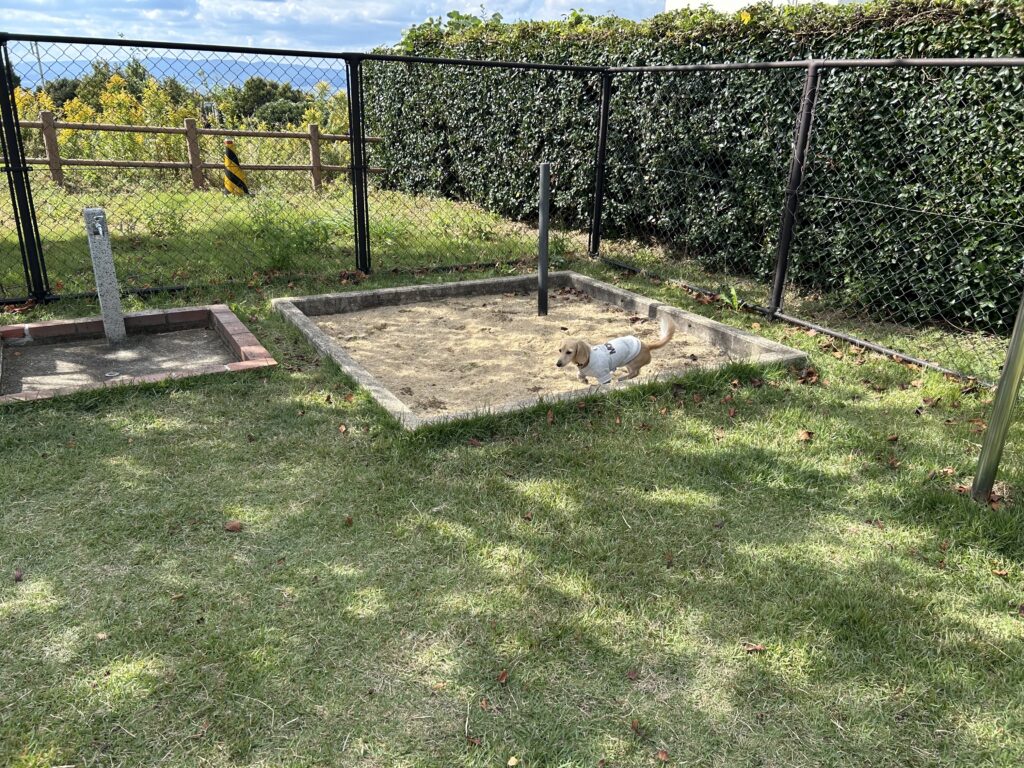 長崎 無料 ドッグラン