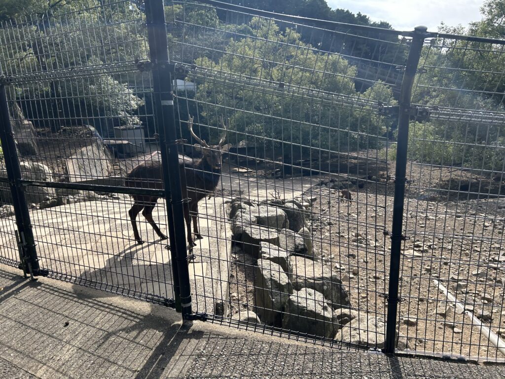 長崎 無料 ドッグラン