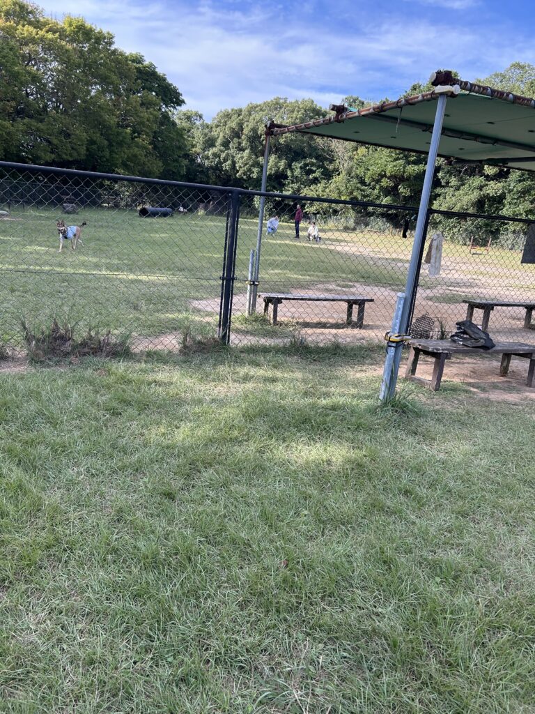 長崎 無料 ドッグラン