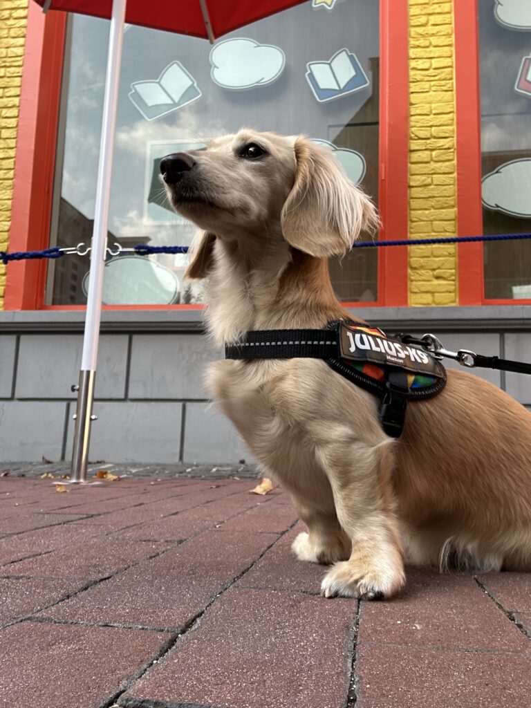 ハウステンボス 犬連れ