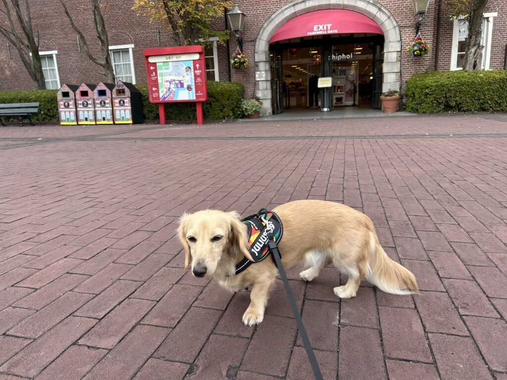 ハウステンボス お土産物屋さん