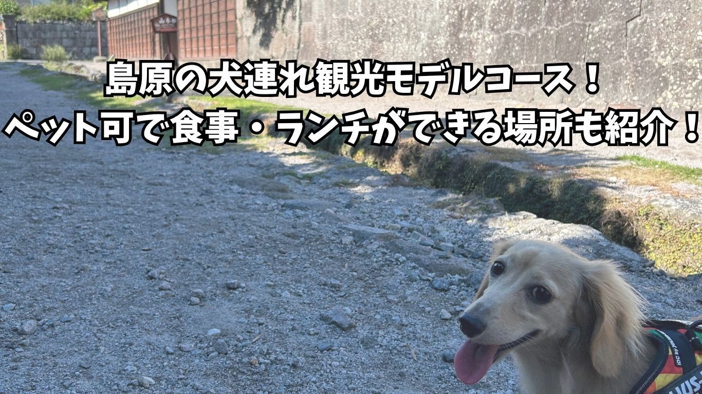 島原 犬連れ 観光 モデルコース