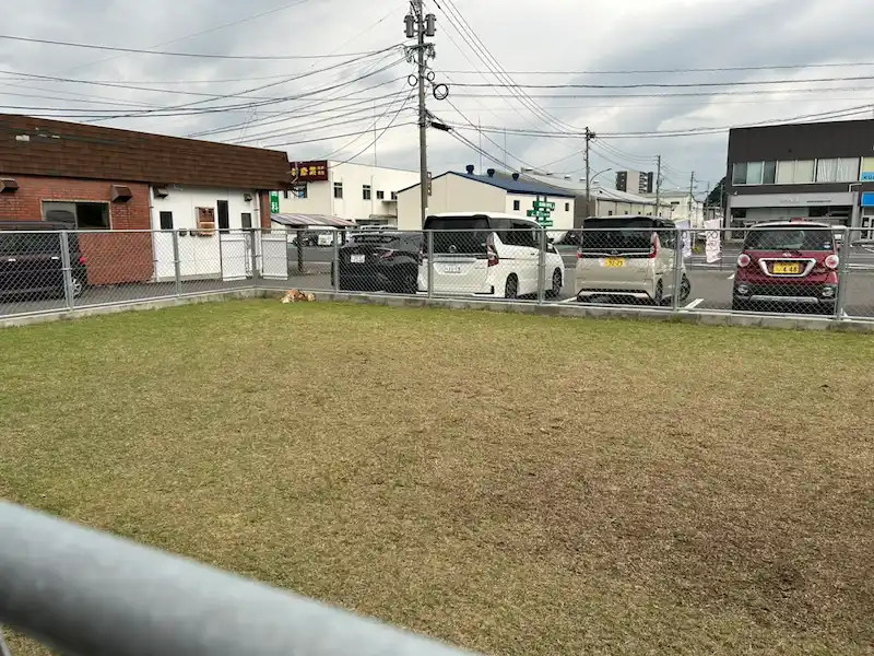 09cafe ドッグラン