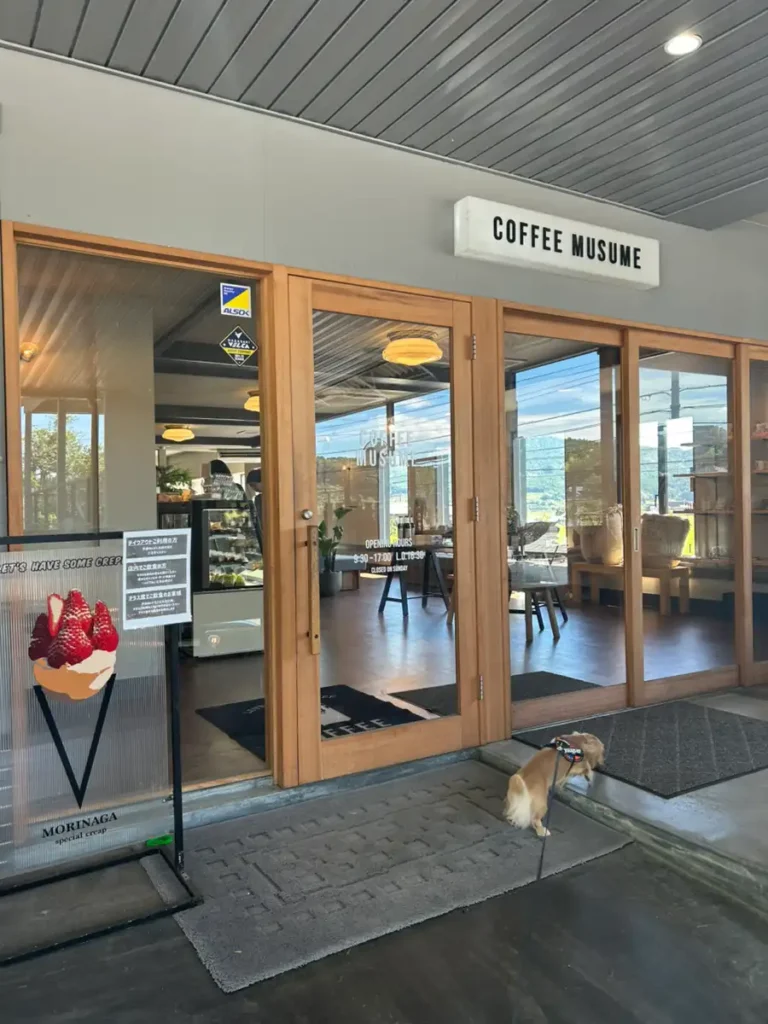 波佐見 ペット可 カフェ