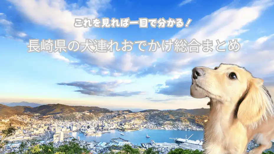 長崎 犬連れ 観光 総合まとめ