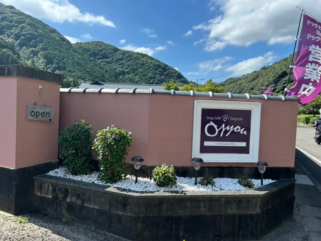 波佐見 犬連れ カフェ