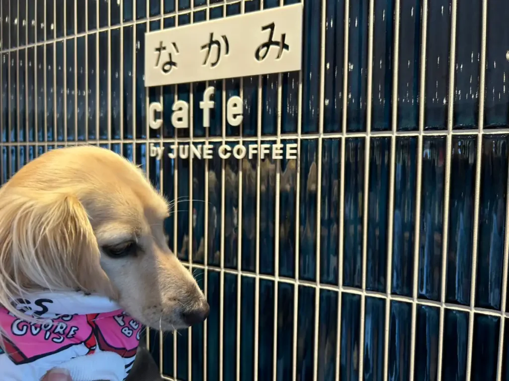 波佐見 犬連れ カフェ